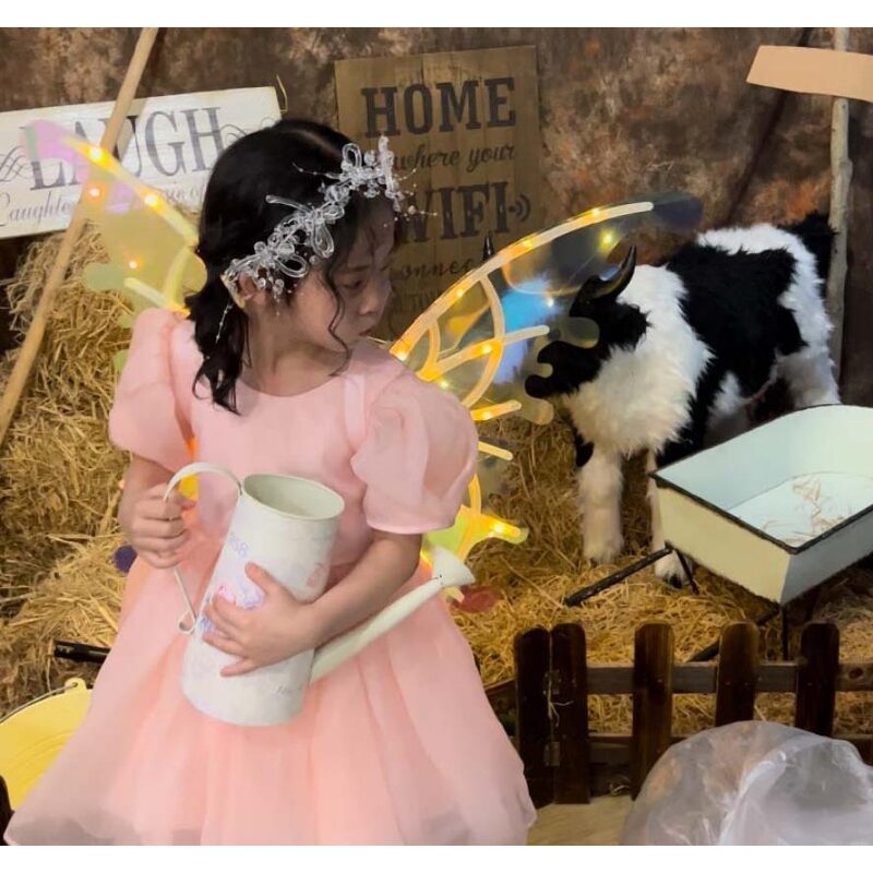 Butterfly Wings Costume Supplier - Hot Selling LED Luminous Angel Wing