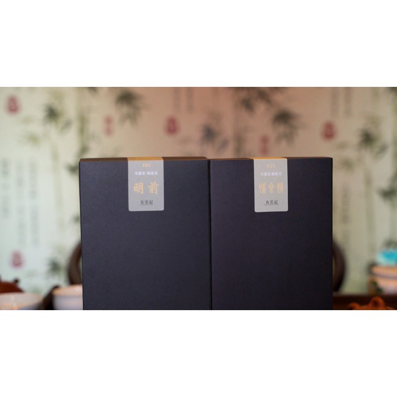 Top 10 Famous Chinese Xinyang Green Tea Gift Set 101 Maojian Loose Leaf Tea 917 Energy Booster Snack Premium Health Boxed New