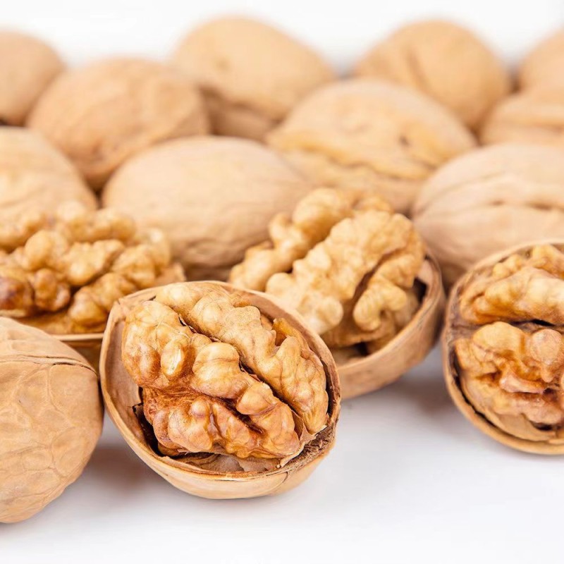 Dried Thin-Shelled Walnut Bulk Organic Healthy Nut Fruits Tasty Walnuts Fresh Shelled Thin-Skinned Walnuts