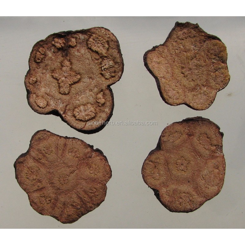 Chinese Herb Radix Polygoni Multiflori He Shou Wu Fleeceflower Root