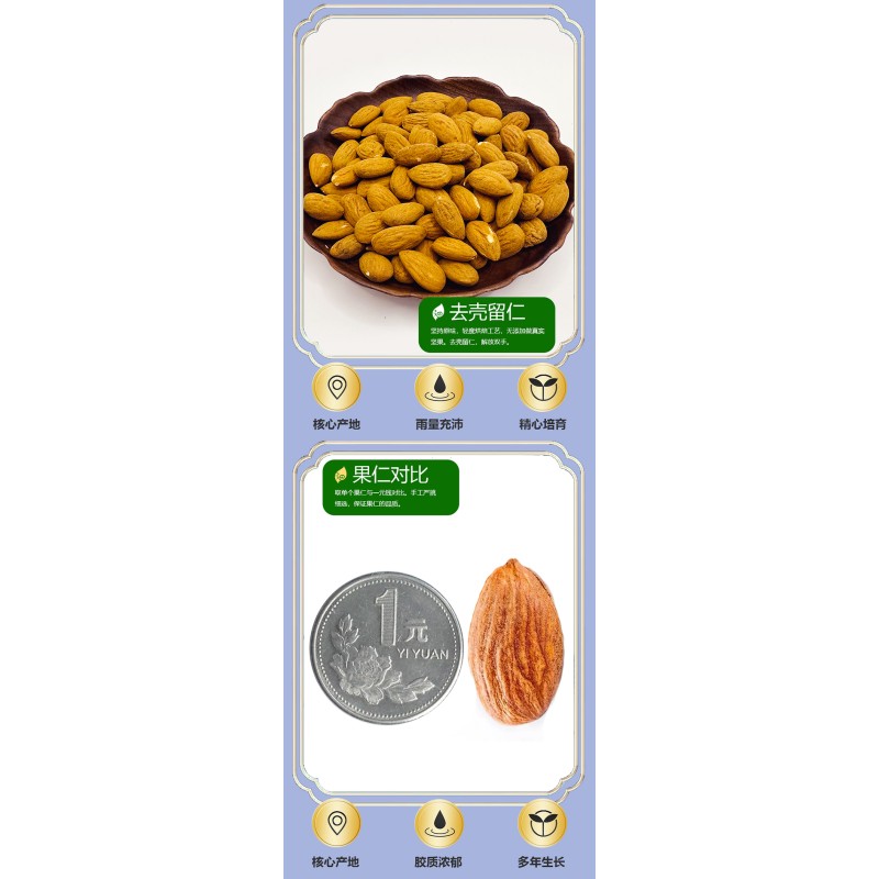 Dried Almond Nuts Edible Nut with Nutrition