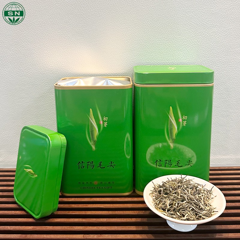 EU ISO Standard Green Tea Xinyang Maojian Chinese Tea High Quality