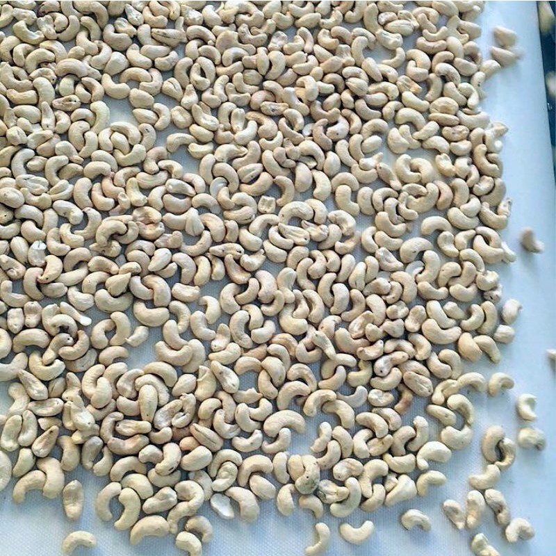 100% Natural Raw Cashews Nuts Low Fat Fresh Kernel Nuts No Additives Processed Dried Fruits and Nuts W180