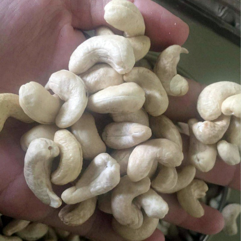 100% Natural Raw Cashews Nuts Low Fat Fresh Kernel Nuts No Additives Processed Dried Fruits and Nuts W180