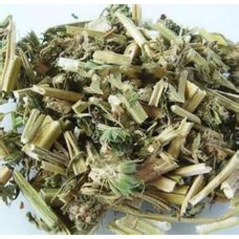 Traditional Chinese Herb Good Quality Works Effective Herbal Tea Yi Mu Cao Leonurus Japonicus Houtt. Motherwort