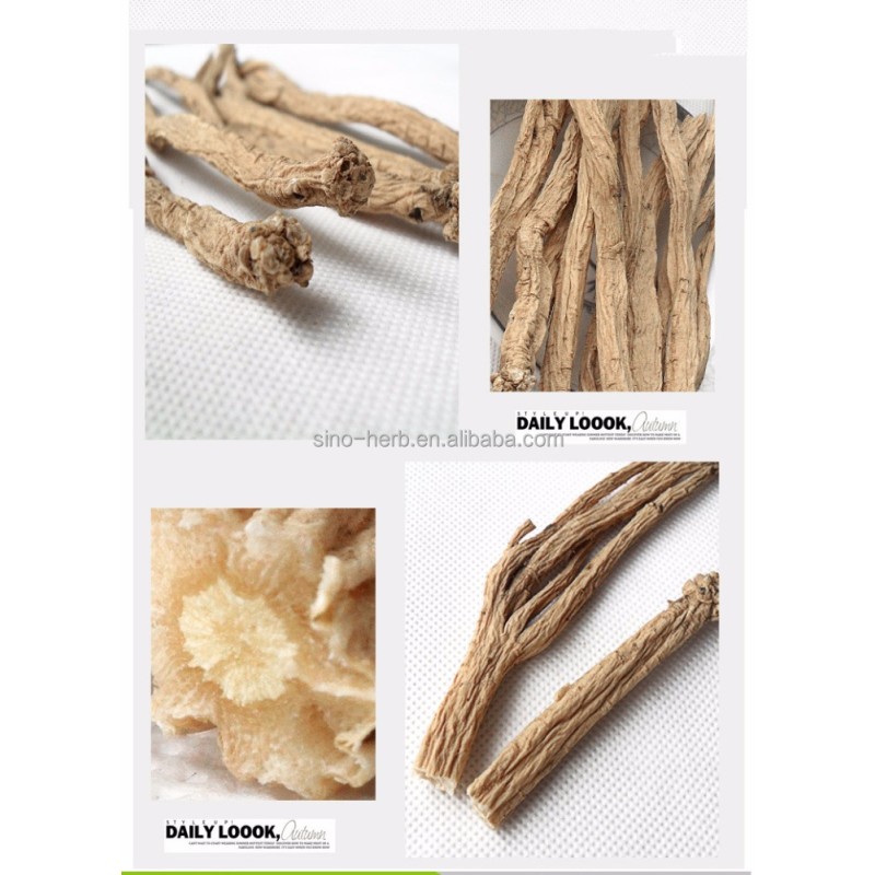Natural Dried Chinese Herb  Dang Shen Codonopsis Pilosula Dried Dangshen Root Slice