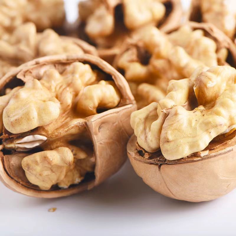 Dried Thin-Shelled Walnut Bulk Organic Healthy Nut Fruits Tasty Walnuts Fresh Shelled Thin-Skinned Walnuts