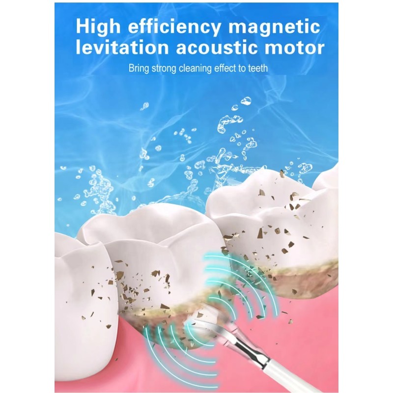 Sonic Toothbrush Factory - OEM Hot Sales Adult Plaque Removal Whitening