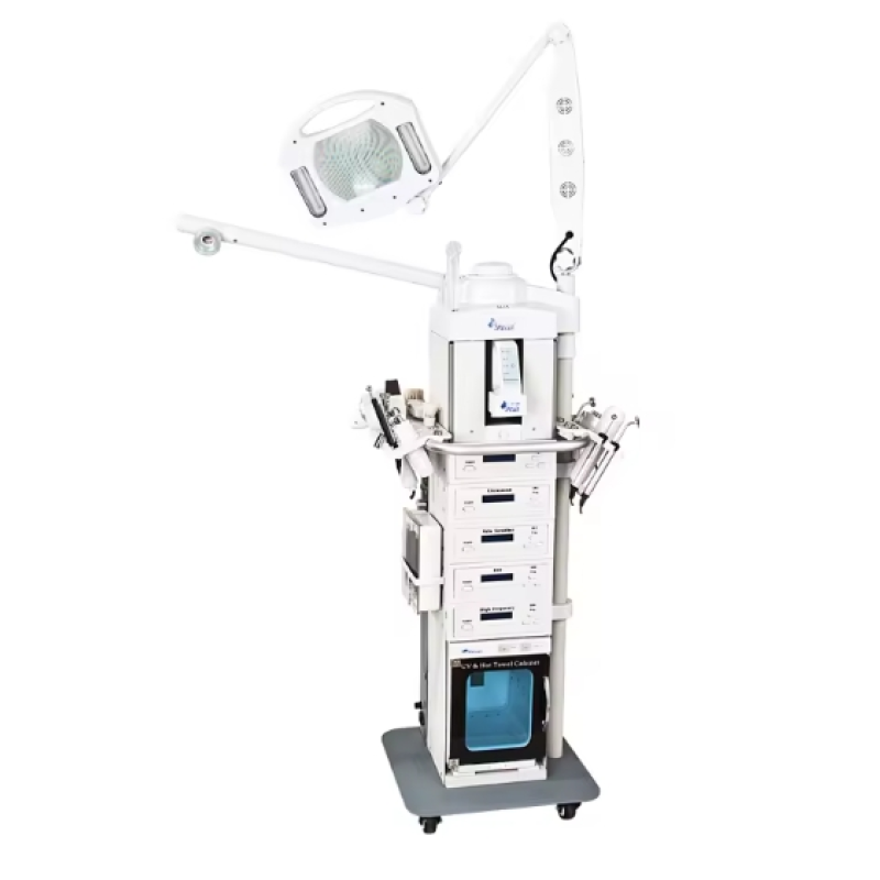 Multifunctional Facial Machine Manufacturer - OEM 19 in 1 Salon Beauty Equipment