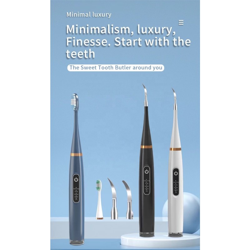 Electric Toothbrush Set Supplier - Bulk OEM Rechargeable Ultrasonic Smart