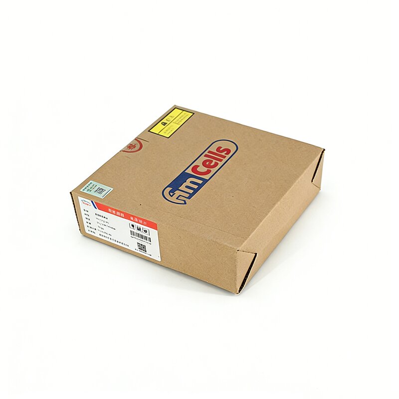 Load Cell Manufacturer - High Precision S-Type Weighing Sensor