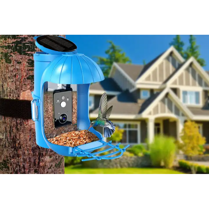 Bird Feeder Camera Manufacturer - Smart Solar Panel Auto Notifying WiFi