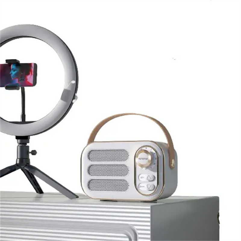 BT Speaker Manufacturer - Retro Fashion Portable Outdoor Mini Subwoofer