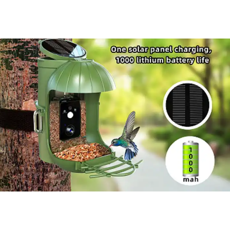Bird Feeder Camera Manufacturer - Smart Solar Panel Auto Notifying WiFi