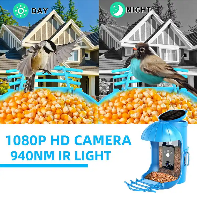 Bird Feeder Camera Manufacturer - Smart Solar Panel Auto Notifying WiFi