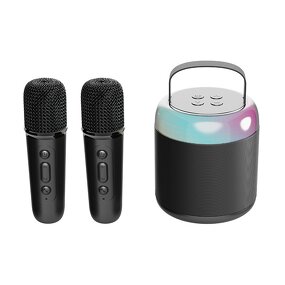 Portable Karaoke Machine Manufacturer - C20 Dual Microphone BT Speaker