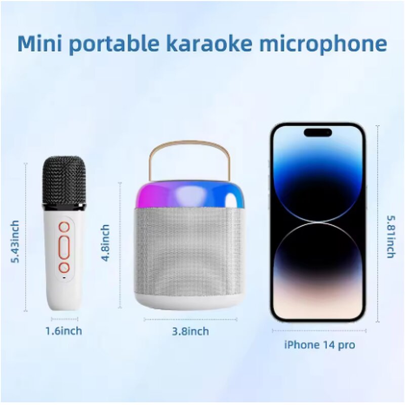 Portable Karaoke Machine Manufacturer - C20 Dual Microphone BT Speaker