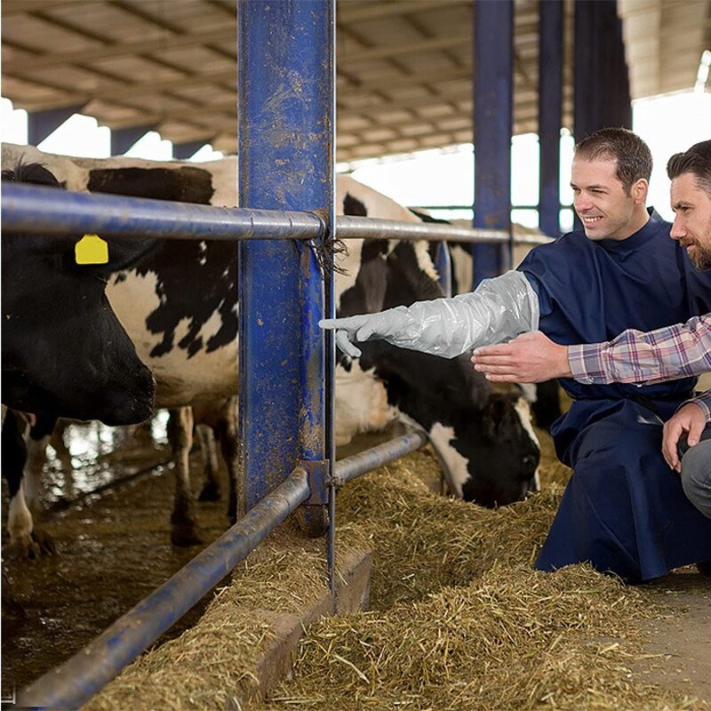 Artificial Insemination Gloves Manufacturer - Hot Selling Custom Logo Long