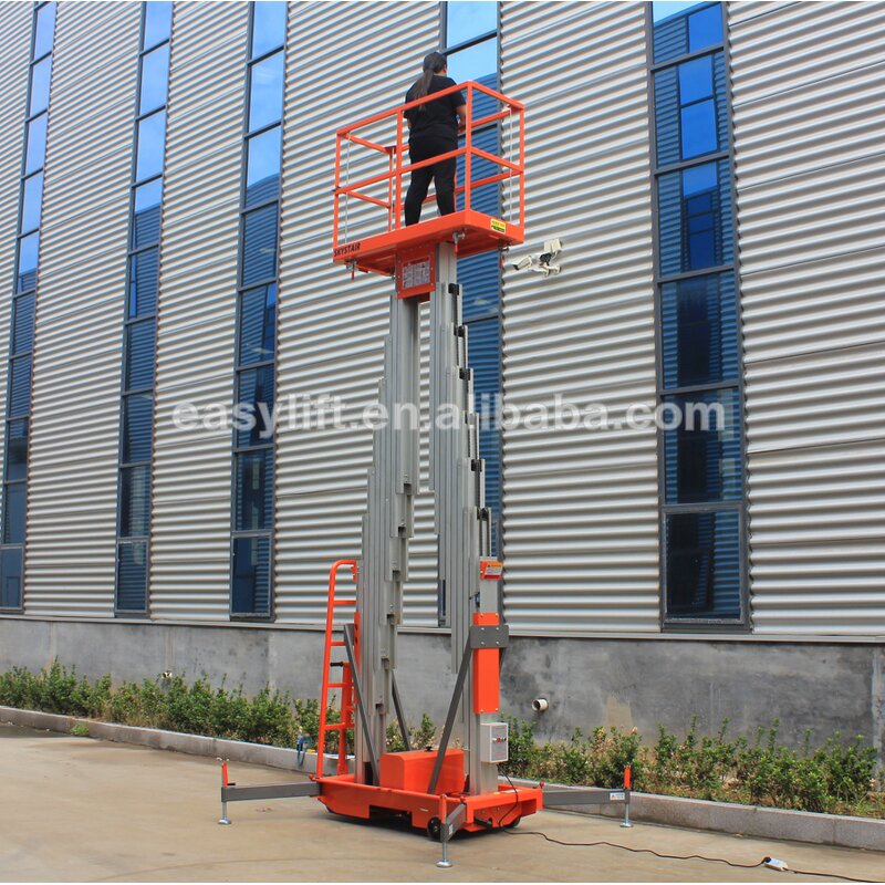 Aluminum Work Platform Manufacturer - Double Mast Ladder Lift