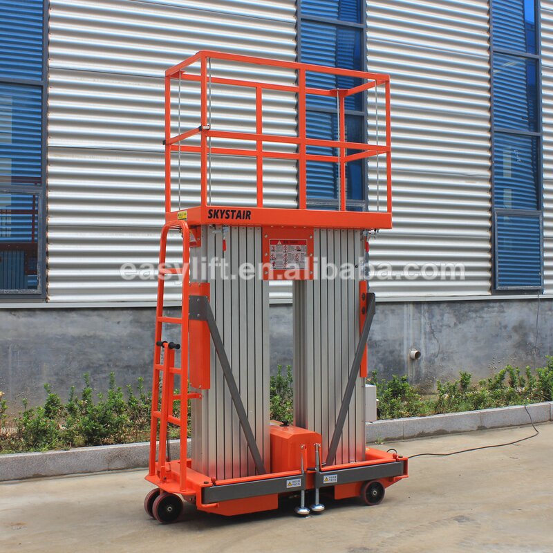 Aluminum Work Platform Manufacturer - Double Mast Ladder Lift