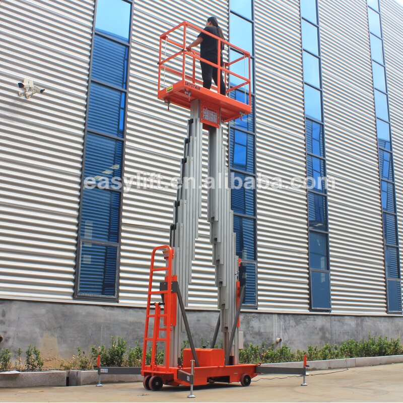 Aluminum Work Platform Manufacturer - Double Mast Ladder Lift