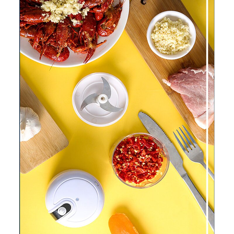 Electric Garlic Chopper Manufacturer - OEM/ODM Custom Design