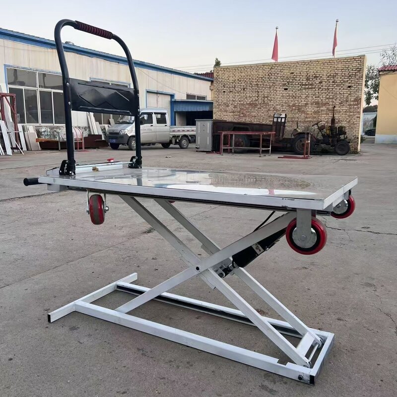 Portable Trolley Factory - OEM/ODM Vehicle-mounted Electric Flatbed Truck