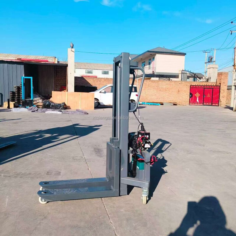 Pallet Jack Factory - OEM/ODM CE 300kg Manual Pallet Jack