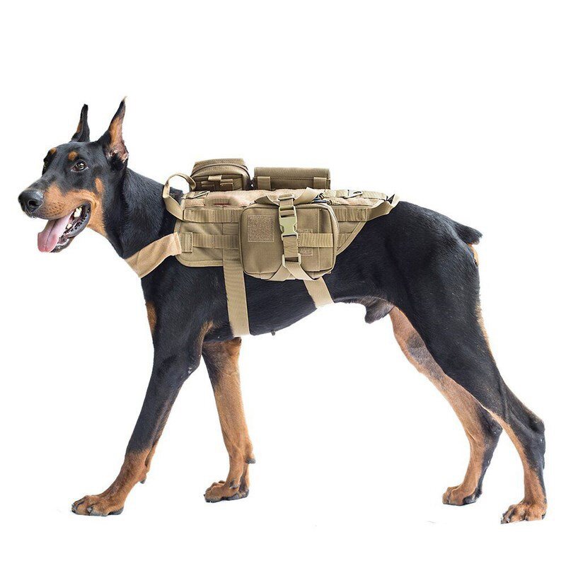 Tactical Dog Harness Manufacturer - MOLLE Vest Print Customized Adjustable
