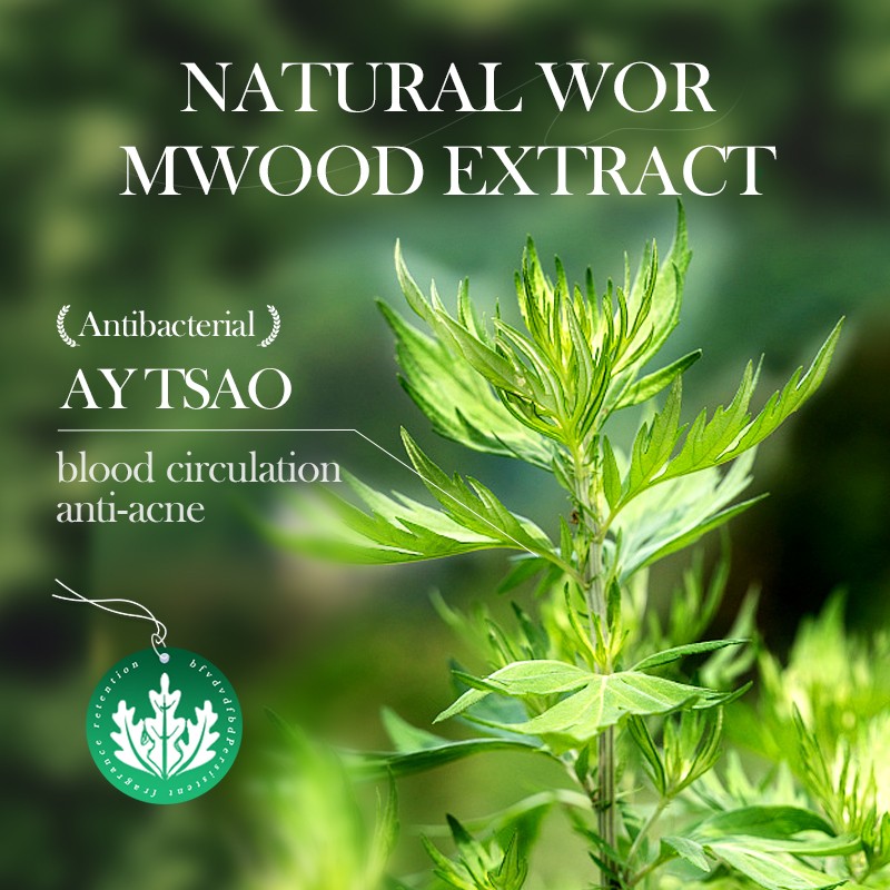 Clay Stick Manufacturer - OEM Mugwort Acne Treatment