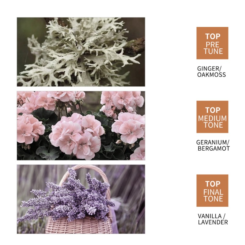 Hair Mask Factory - OEM Deep Conditioning Ginger