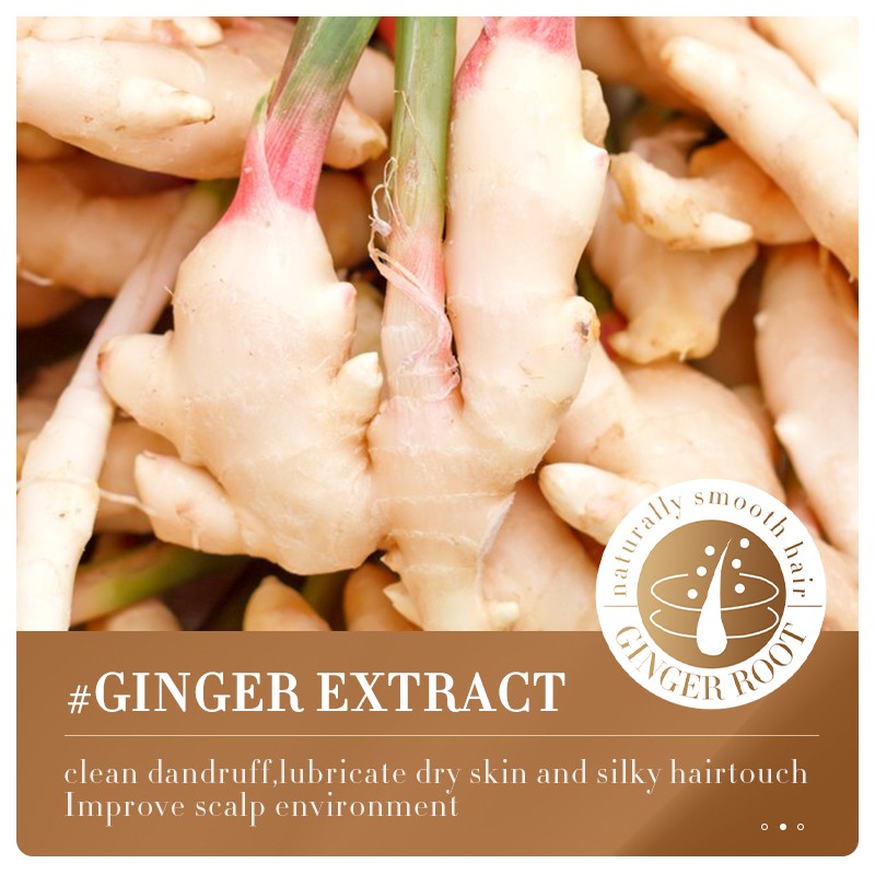 Shampoo Manufacturer - OEM Travel Size Ginger