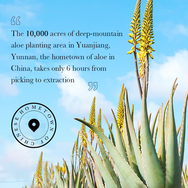 BB Cream Manufacturer - OEM Waterproof Aloe Vera