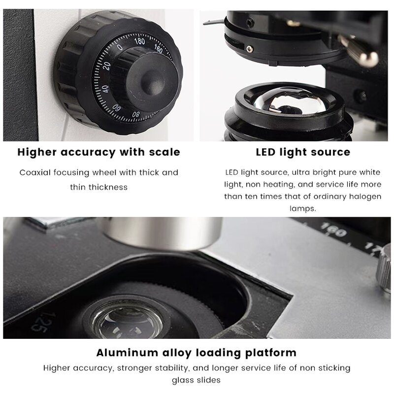 Stereo Microscope Factory - Binocular 40X LED Laboratory Biological