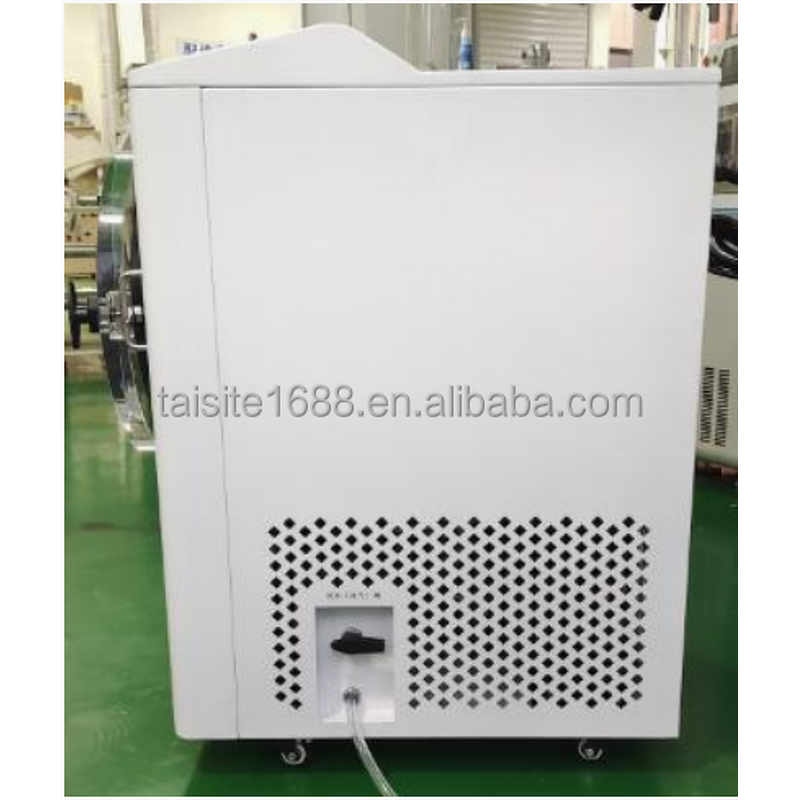 Vacuum Lyophilizer Factory - Automatic Low Price Vegetables Fruits