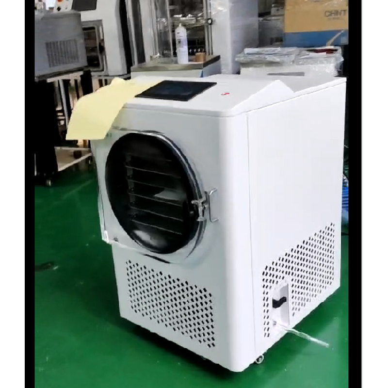 Freeze Dryer Manufacturer - Commercial Grade 4-6kg Lyophilizer 220v