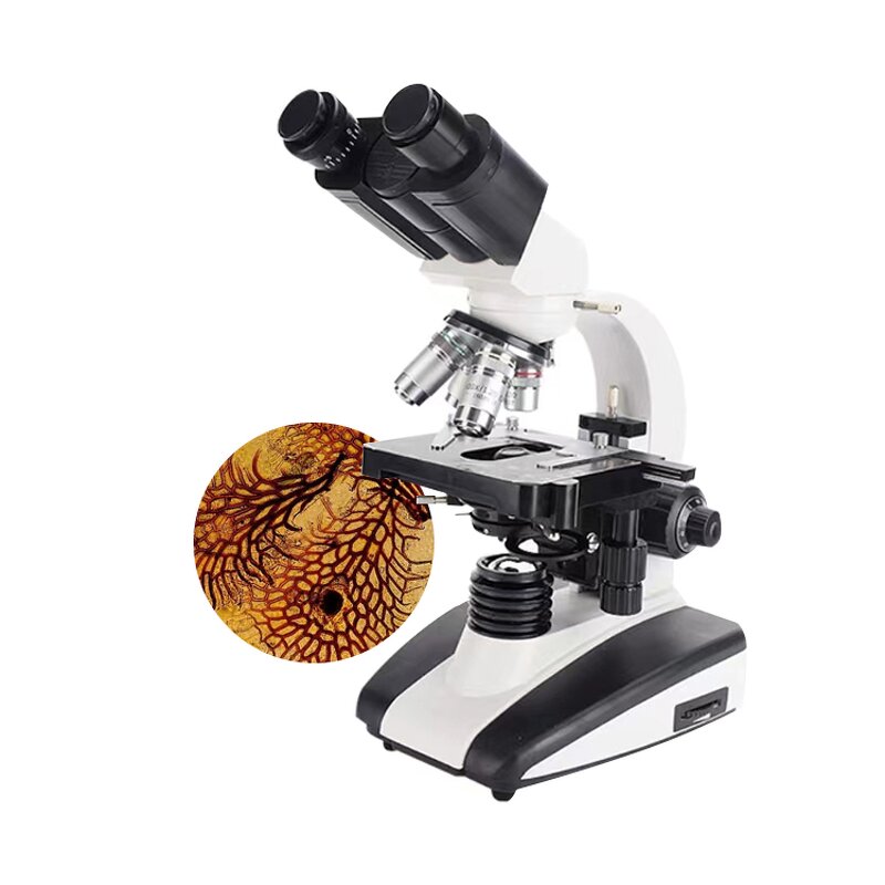 Binocular Microscope Manufacturer - Digital Biological with LED Lab