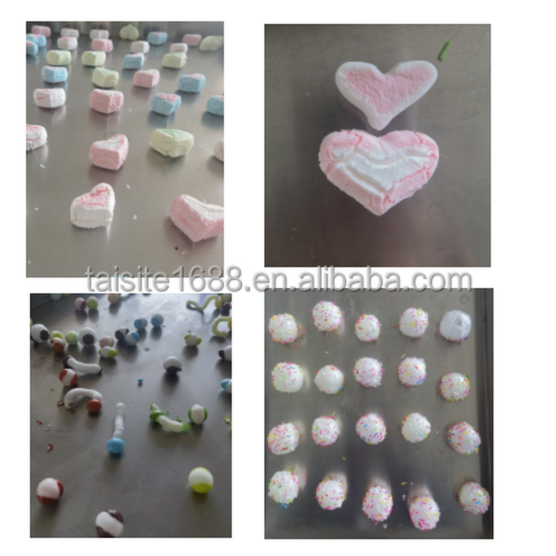 Freeze Dryer Manufacturer - Fully Automatic Fruit Vegetable Home