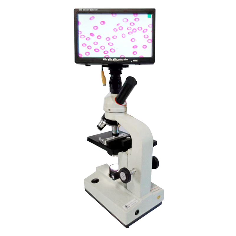 Biological Microscope Factory - Clinical Binocular Optical LED Blood