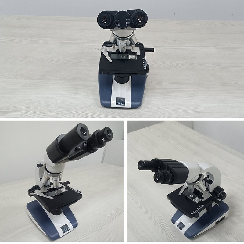 Stereo Microscope Factory - Binocular 40X LED Laboratory Biological