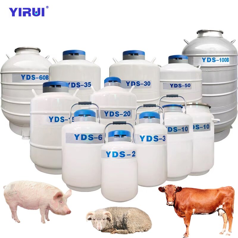 Liquid Nitrogen Tank Factory - YDS-50B 50L Efficient Thermal Insulation