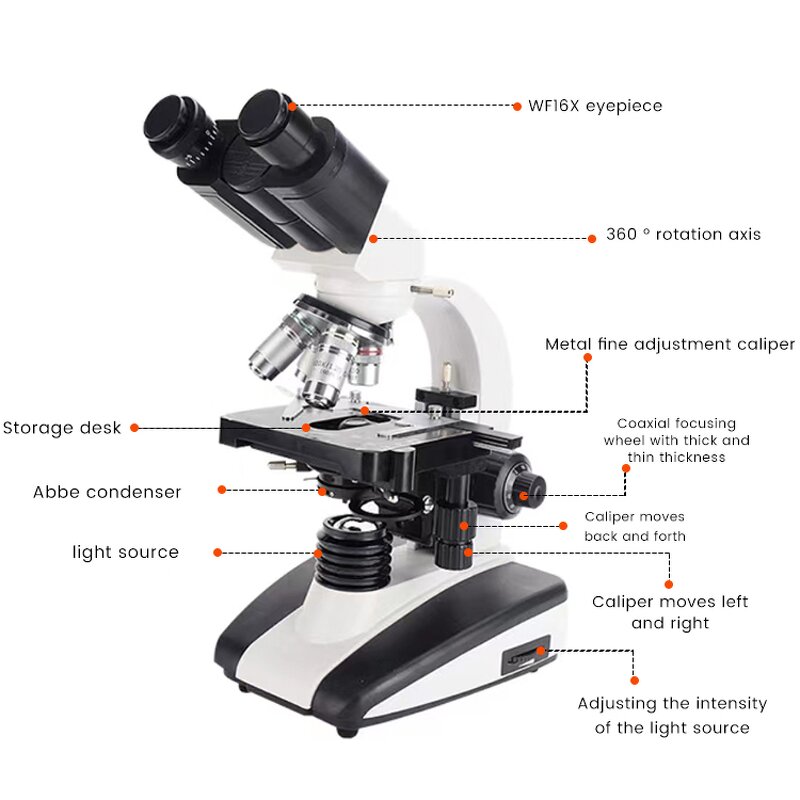 Stereo Microscope Factory - Binocular 40X LED Laboratory Biological