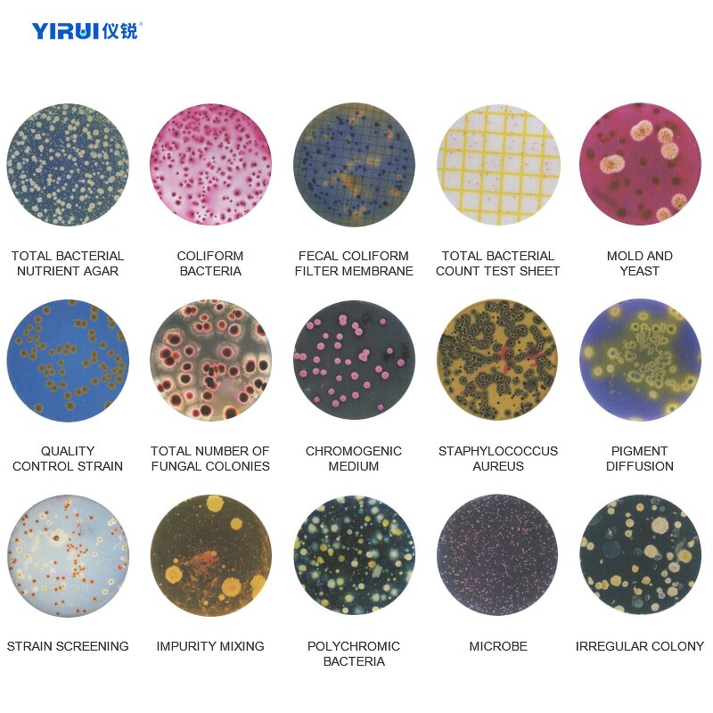 Colony Counter Factory - OEM Custom Automatic Microbial Analysis