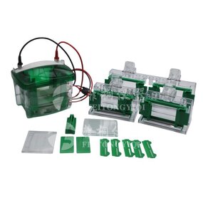 Electrophoresis Cell Factory - EPT-VT02 Protein Vertical 83x73mm