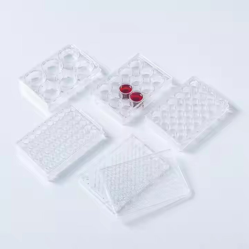 Cell Culture Plate Supplier - 6-96 Well PP Tissue Culture Plate
