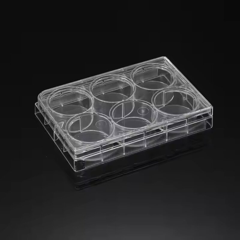 Cell Culture Plate Supplier - 6-96 Well PP Tissue Culture Plate