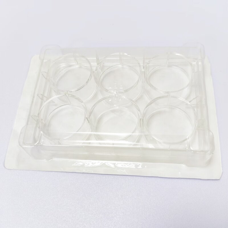 Petri Dish Manufacturer - 35mm-150mm Sterile Plastic Culture Dish