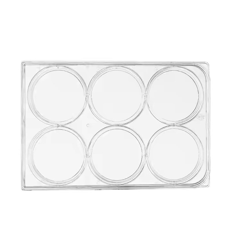 Petri Dish Manufacturer - 35mm-150mm Sterile Plastic Culture Dish