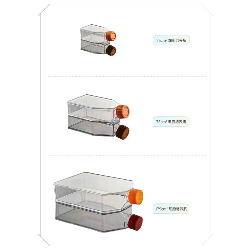 Culture Flask Factory - 25cm2-225cm2 Tissue Cell Culture Flask