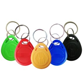 Rewritable RFID Chip Factory - T5577 Blank Key Tag 125 khz Ring